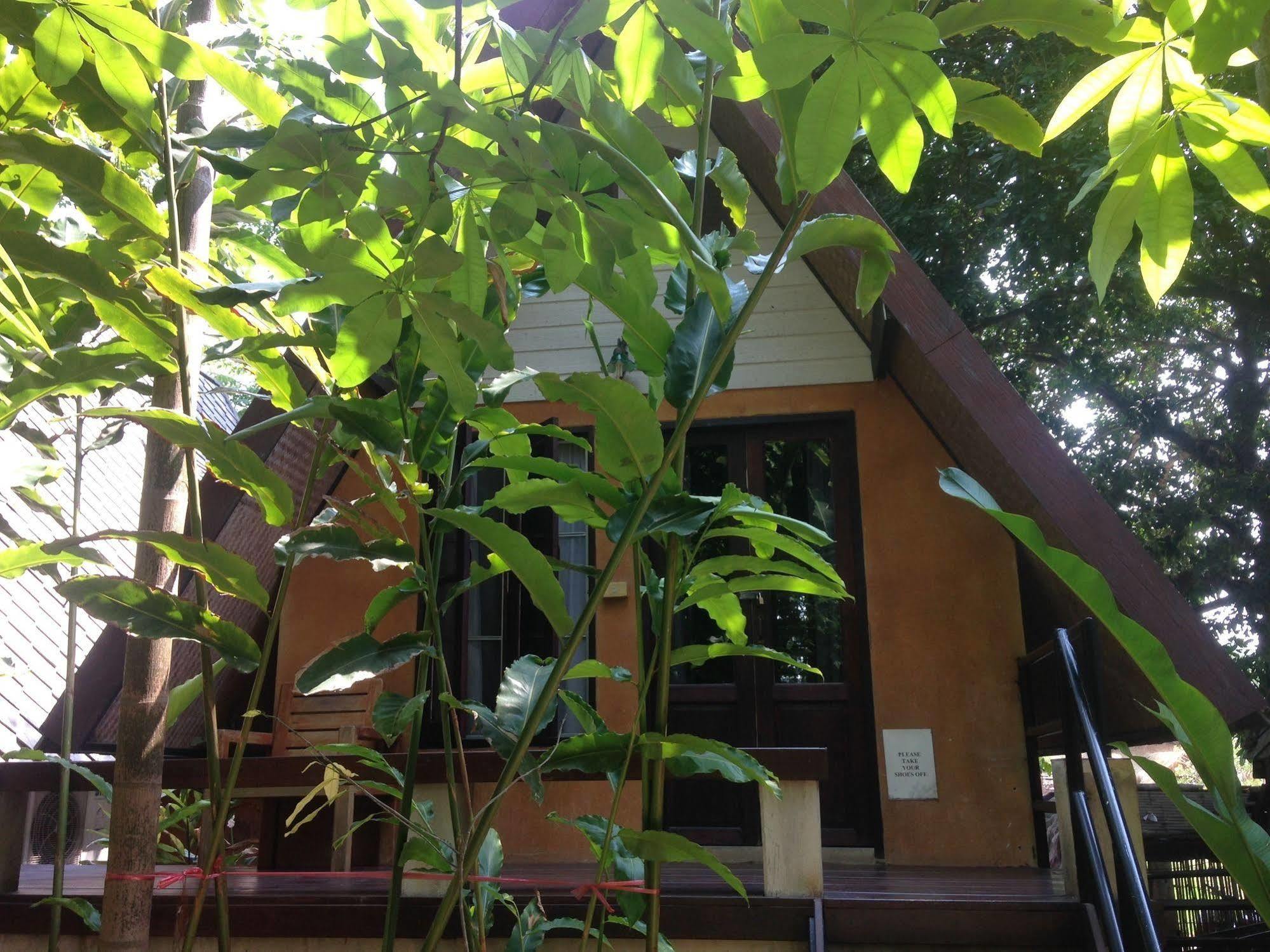 Breeze Of Pai Guesthouse Esterno foto