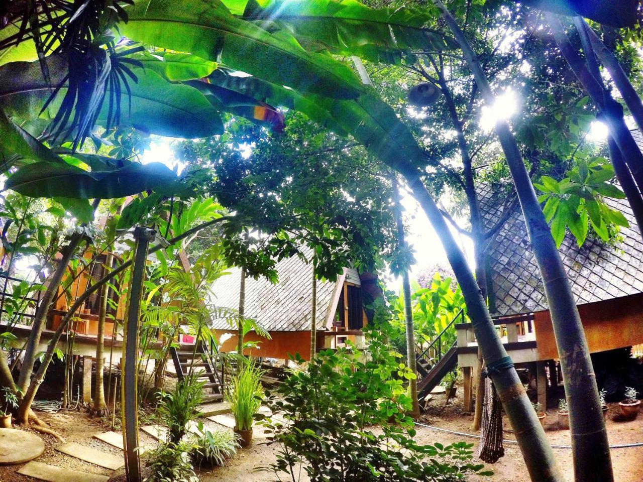 Breeze Of Pai Guesthouse Esterno foto